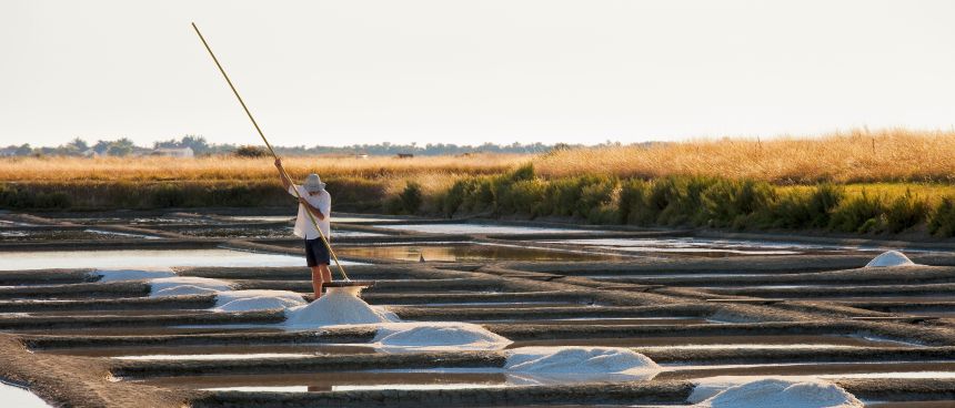 Muž sbírající keltskou sůl na jezírkách při západu slunce.